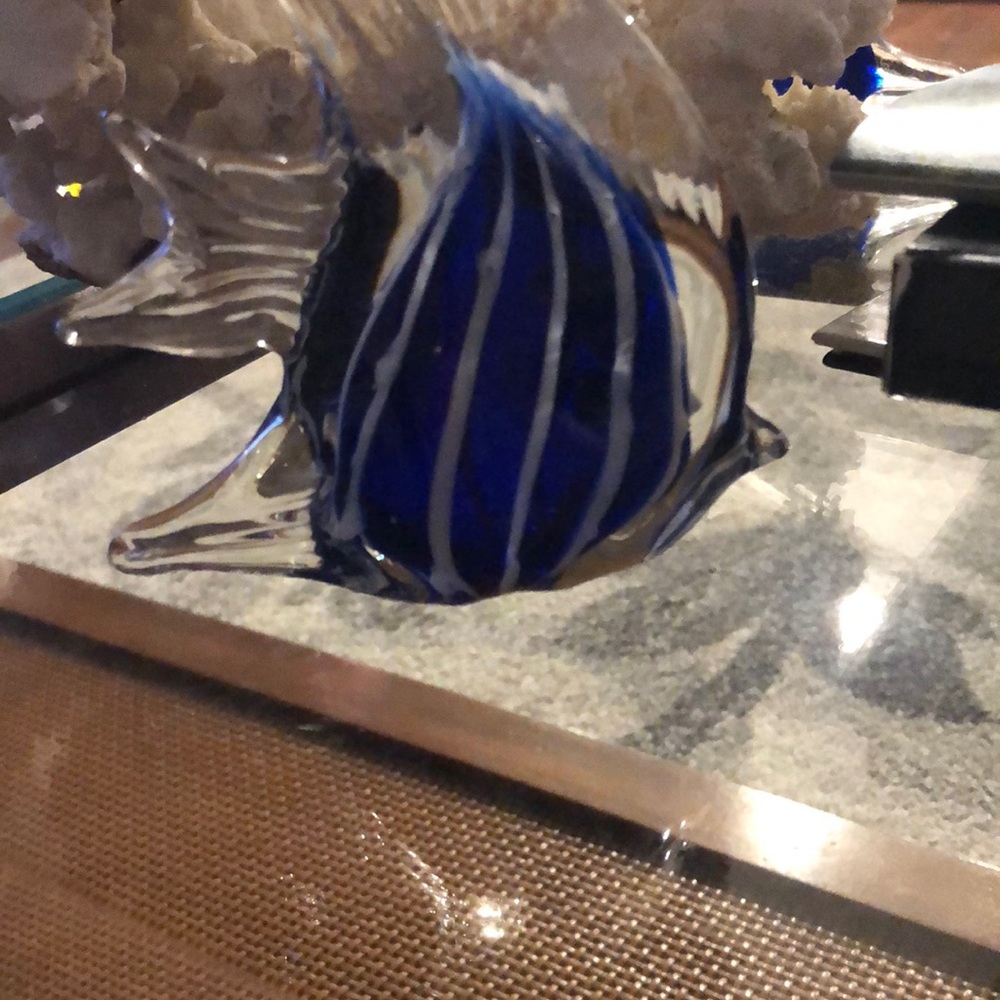 Blue Angel Fish